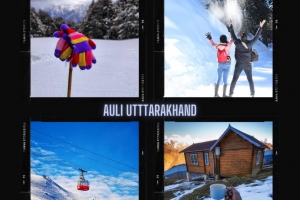 3 Days Trip to Auli in Uttarakhand Package